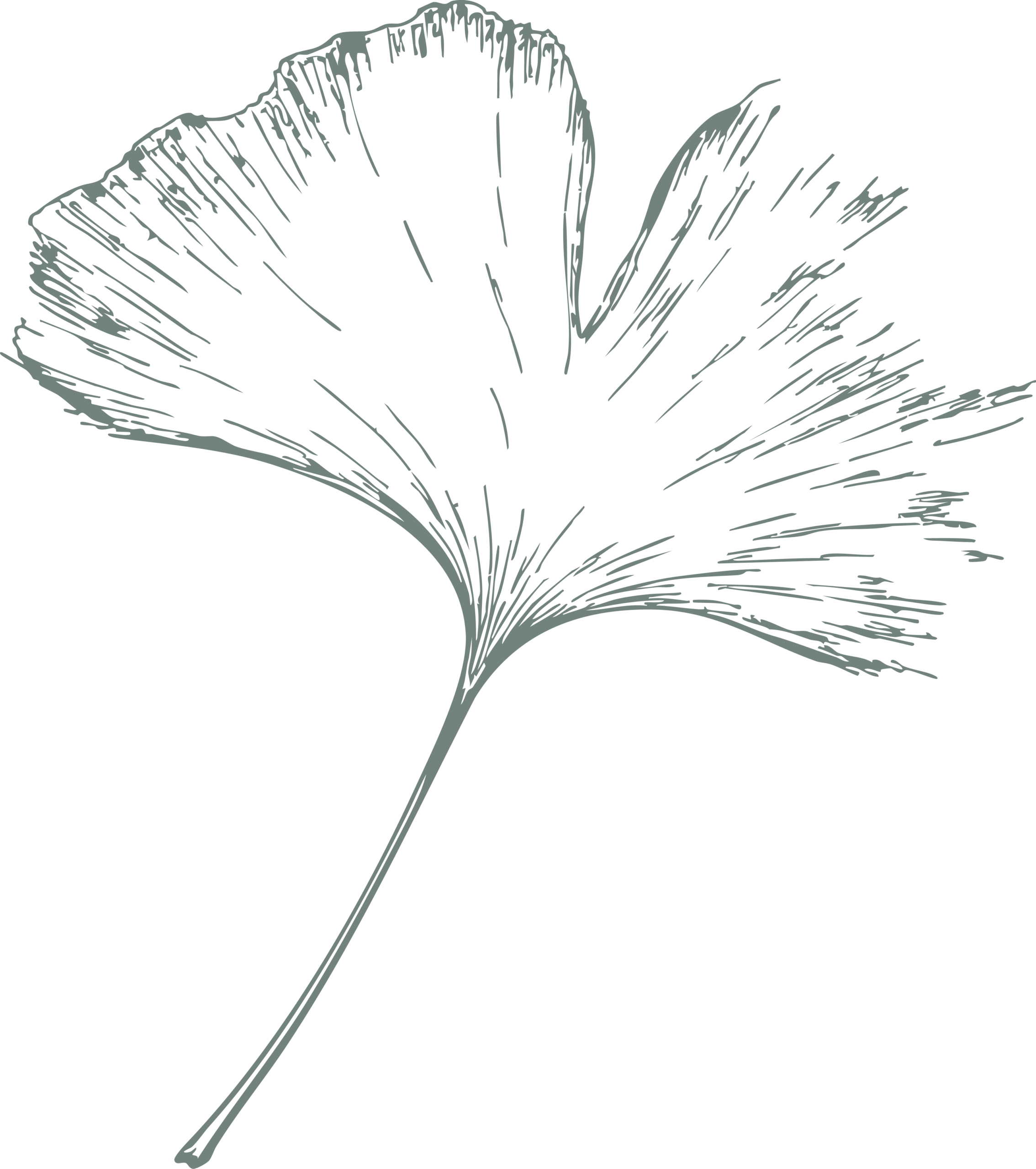 Gingkoblatt
